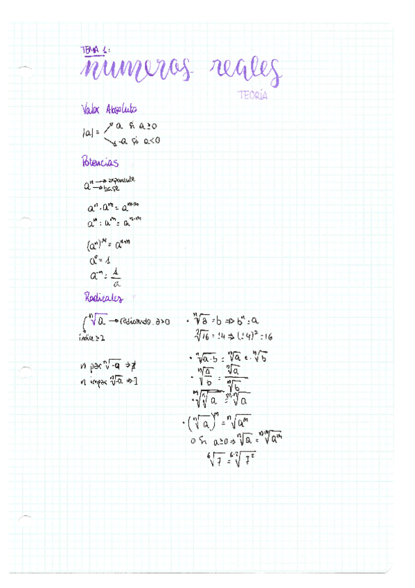 Miniatura del documento tema-1-numeros-reales.pdf