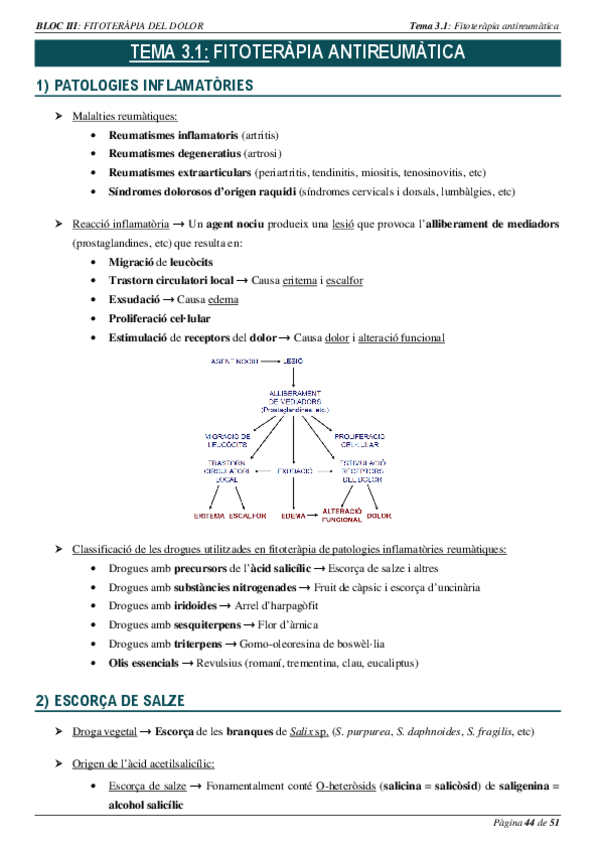 Miniatura del documento BLOC-III.pdf