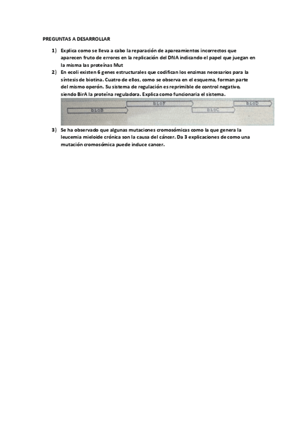 Miniatura del documento EXAMEN-PREGUNTAS-A-DESARROLLAR.pdf