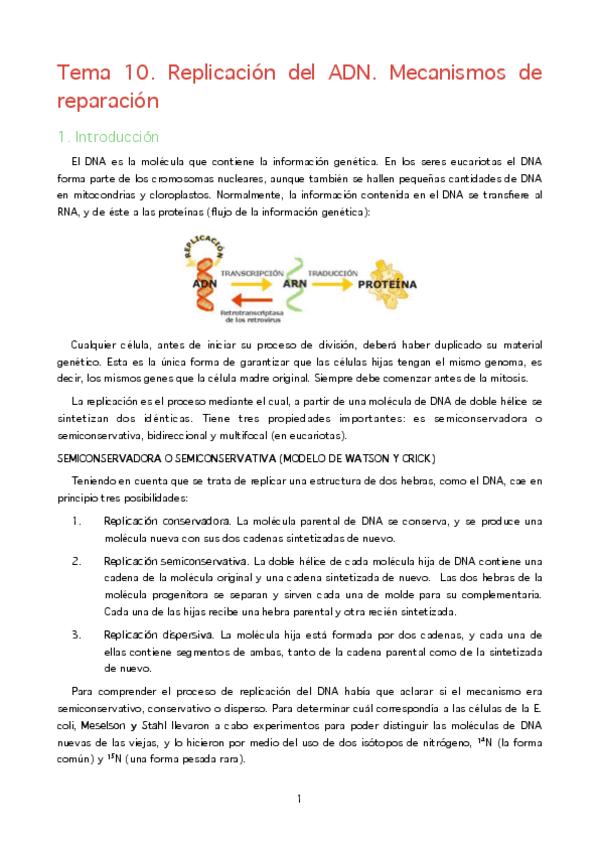 Miniatura del documento MBQ. T10. Replicación del ADN.pdf