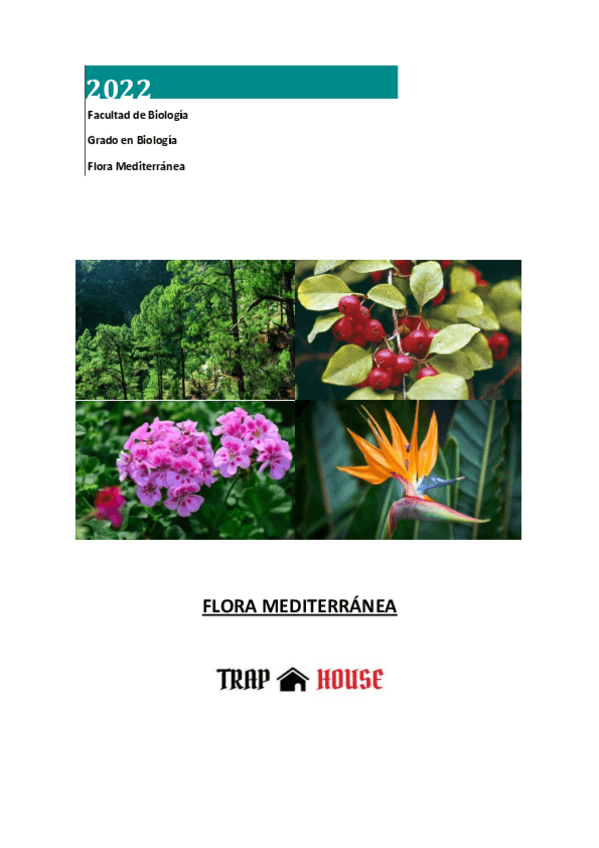 Miniatura del documento TEMARIO-COMPLETO.pdf