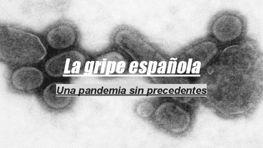 Miniatura del documento La-gripe-espanola.pdf
