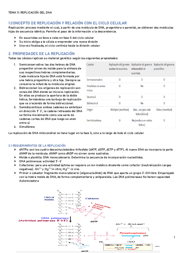 Miniatura del documento TEMA-11-BQ.pdf