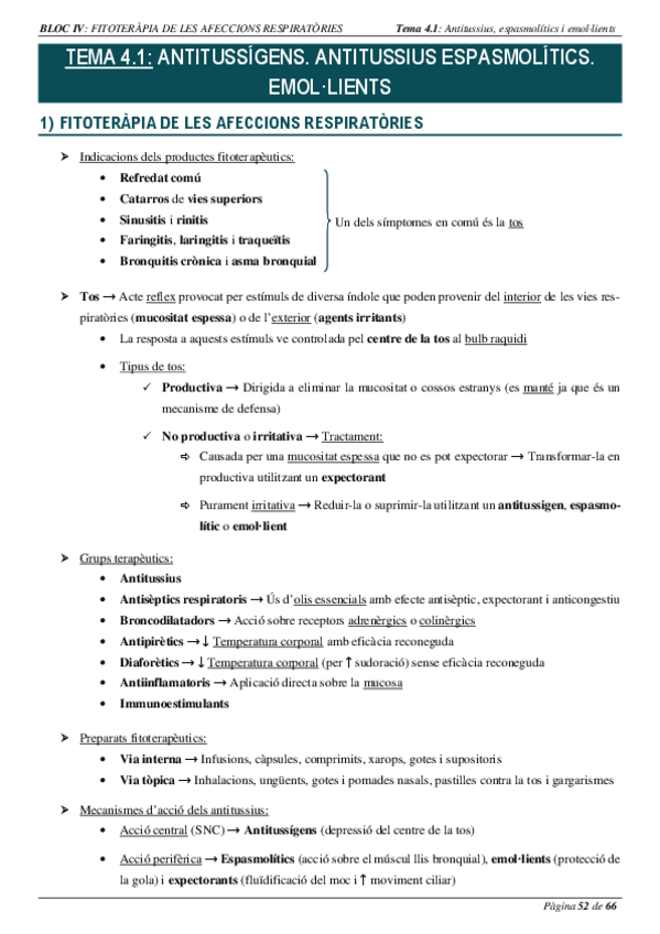 Miniatura del documento BLOC-IV.pdf