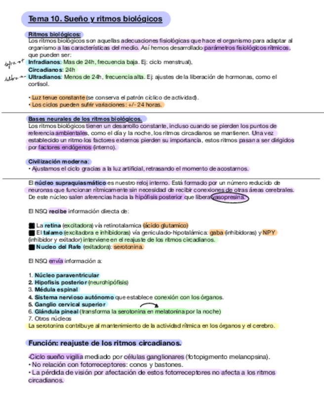 Miniatura del documento FISIOLOGIA-3er-parcial-T10-T15.pdf