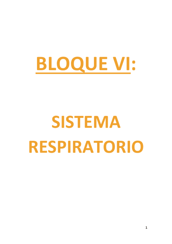 Miniatura del documento 6.SISTEMA RESPIRATORIO.pdf