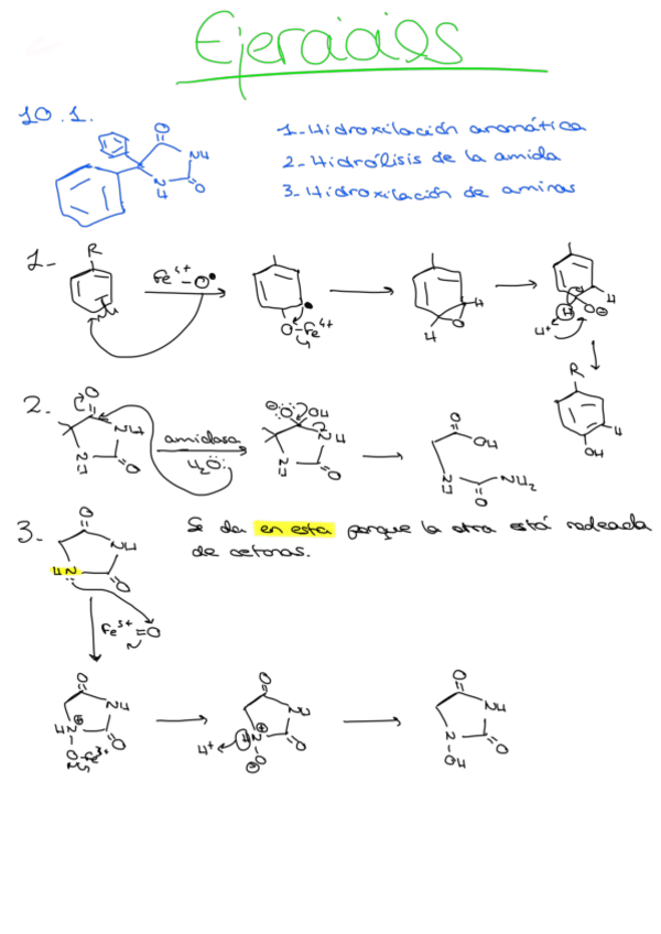 Miniatura del documento Metabolismo-ejs.pdf
