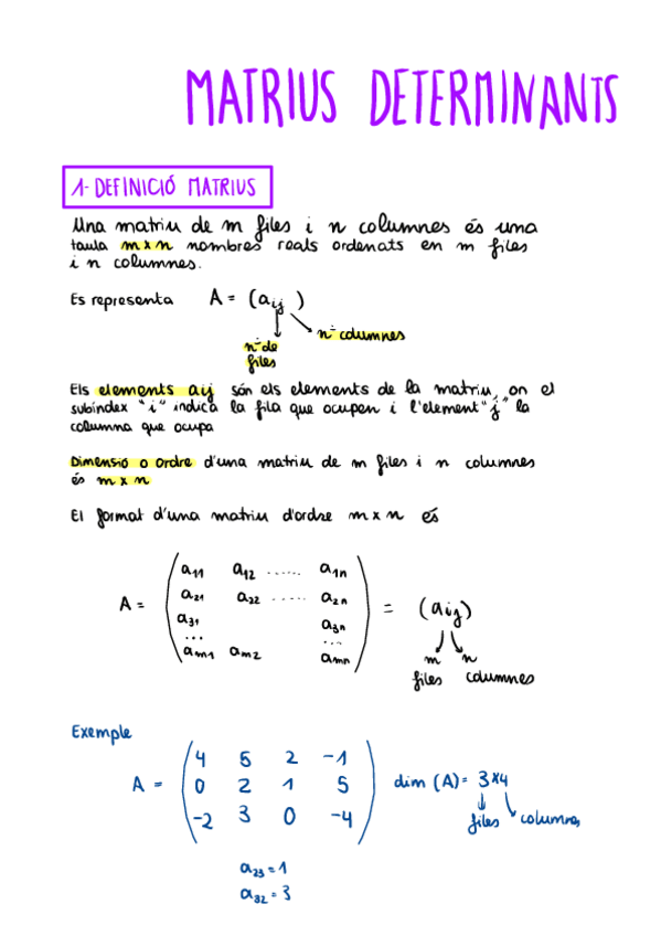 Miniatura del documento MATRIUS-TOT-APUNTS.pdf