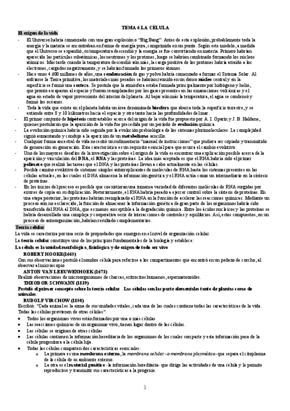 Miniatura del documento Parcial 2 neurociencia.pdf