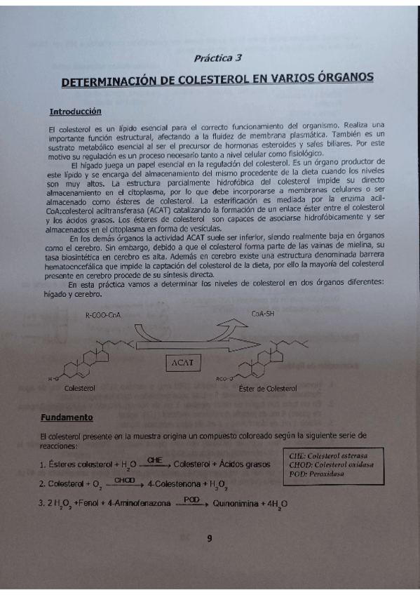 Miniatura del documento Practica-3-Resuelta.pdf