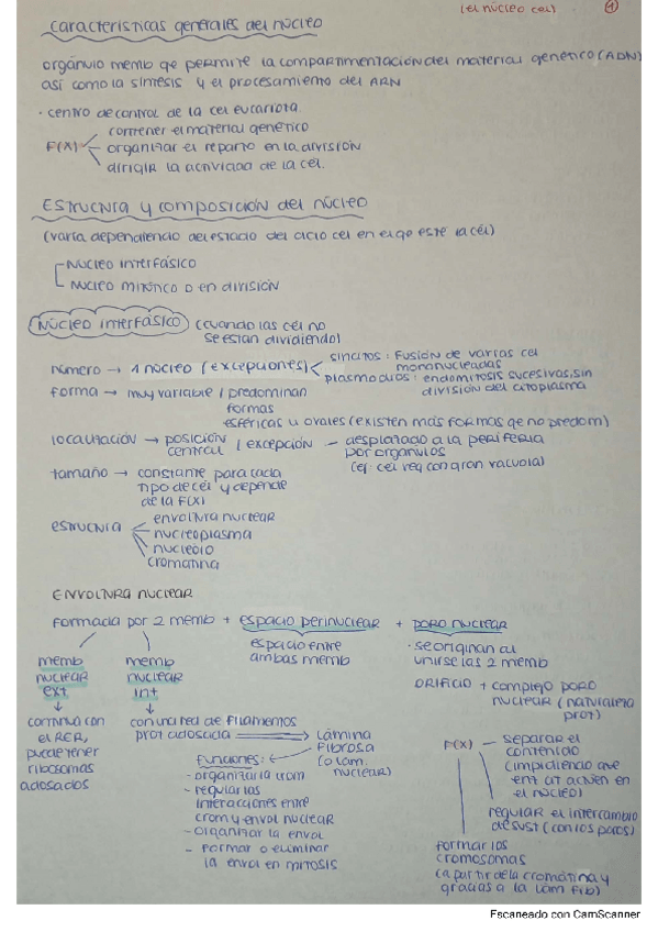 Miniatura del documento NUCLEO-CELULAR.pdf