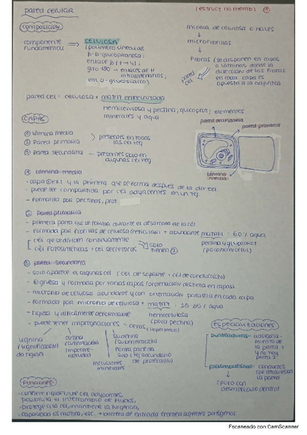 Miniatura del documento ESTRUCTURAS-NO-MEMBRANOSAS.pdf