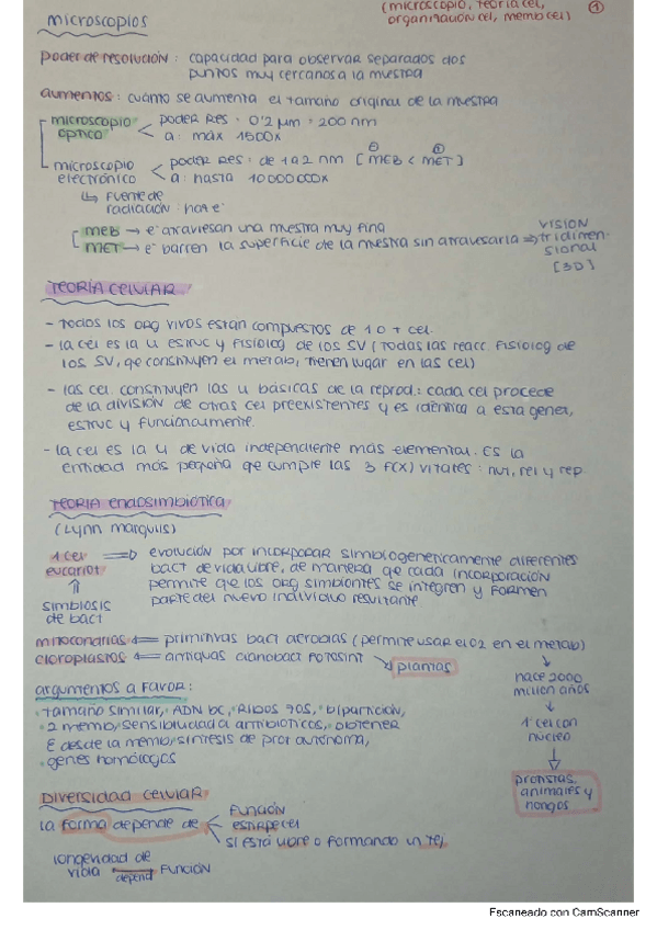 Miniatura del documento MICROSCOPIOS-TEORIA-Y-ORGANIZACION-CELULAR-Y-MEMBRANAS.pdf