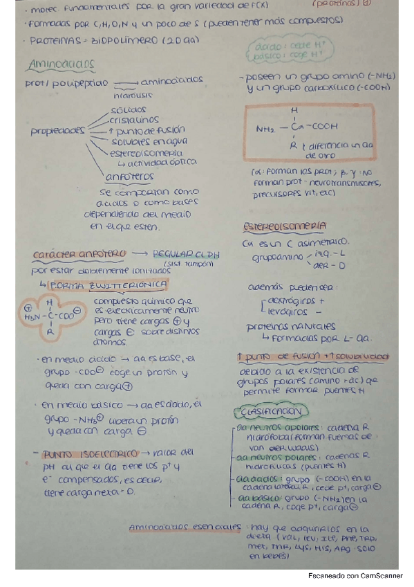 Miniatura del documento PROTEINAS.pdf