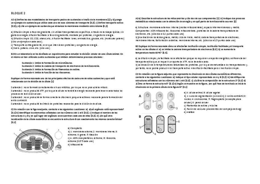 Miniatura del documento BLOQUE-2.pdf