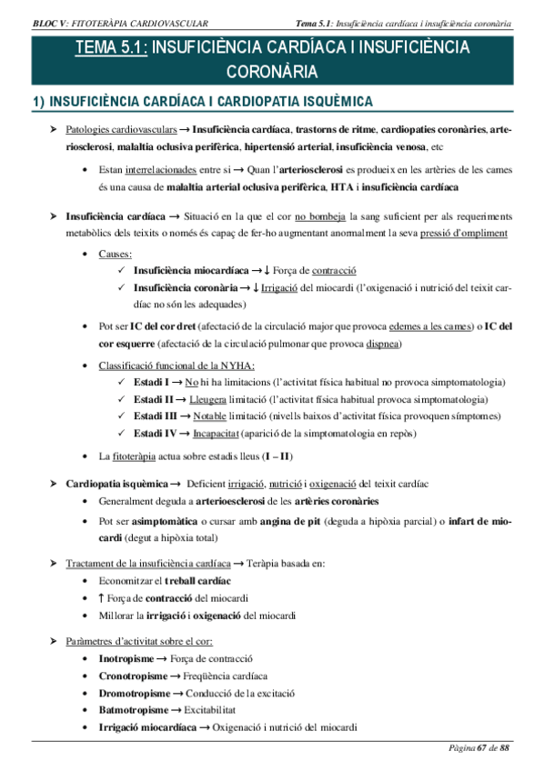 Miniatura del documento BLOC-V.pdf