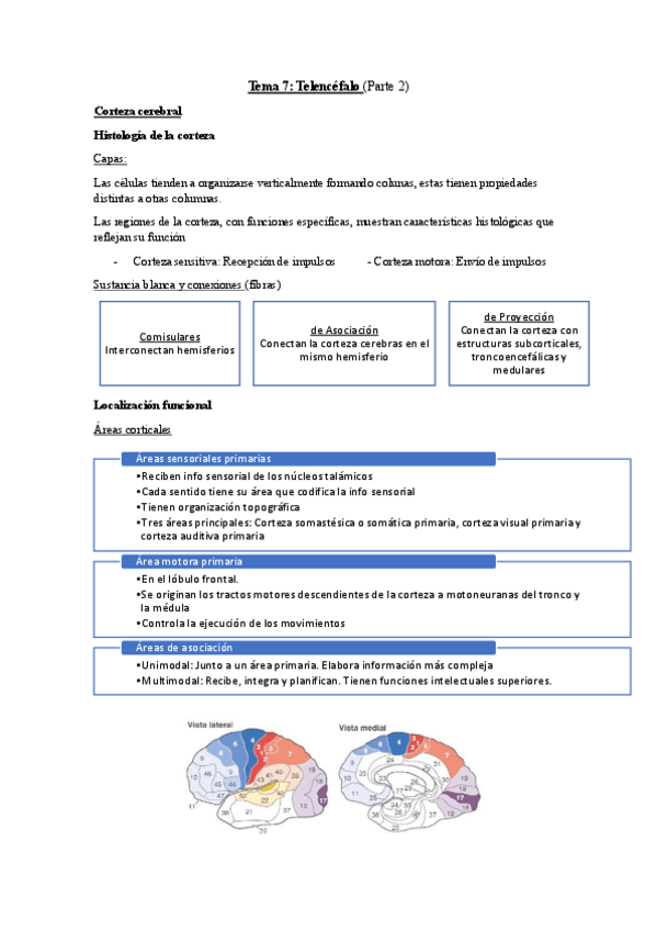 Miniatura del documento T.7-Psicobiologia-II-Parte-2.pdf