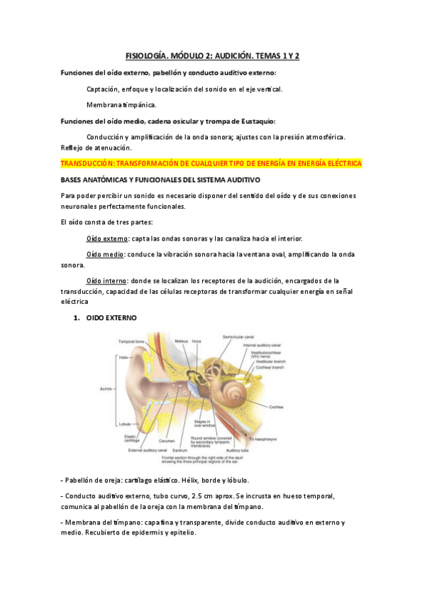 Miniatura del documento FISIOLOGIA.-MODULO-2.-TEMA-1-Y-2.pdf