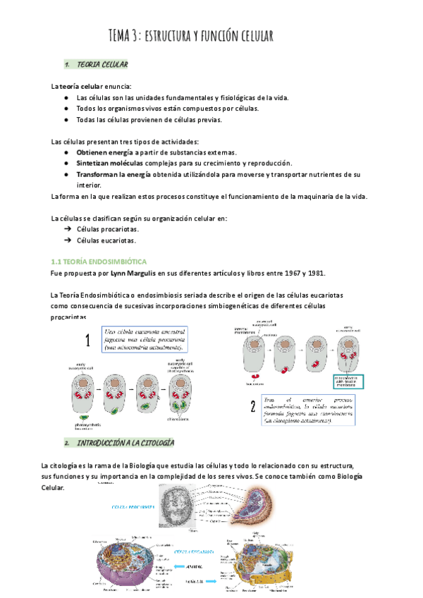 Miniatura del documento TEMA-3-Estructura-y-funcion-celular.pdf