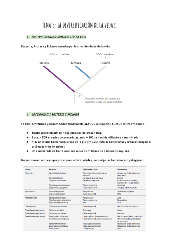 Miniatura del documento TEMA-5-La-diversificacion-de-la-vida-I.pdf