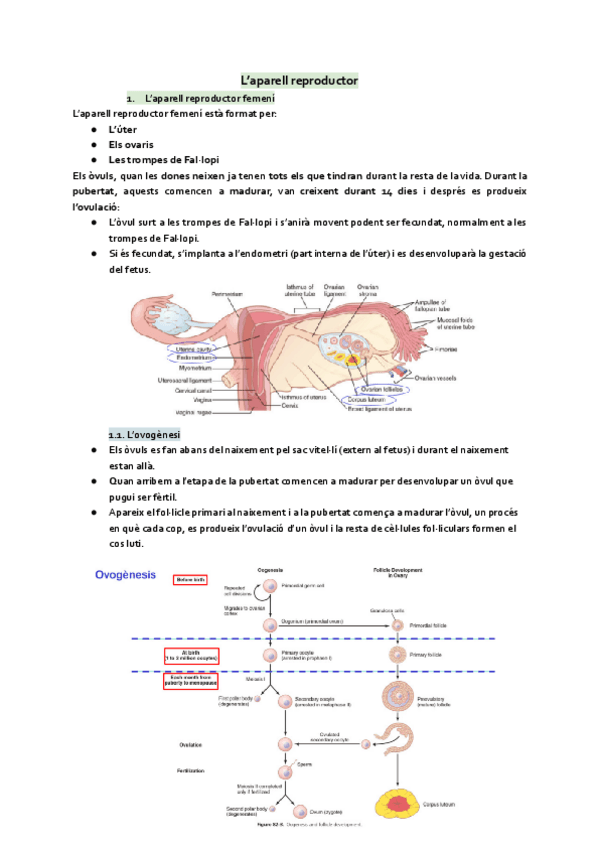 Miniatura del documento Aparell-reproductor.pdf