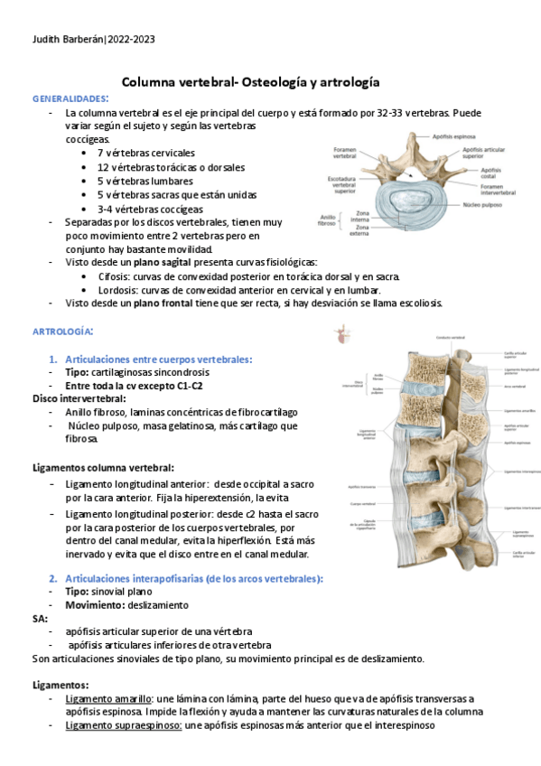 Miniatura del documento Artrologia-Columna-Vertebral.pdf