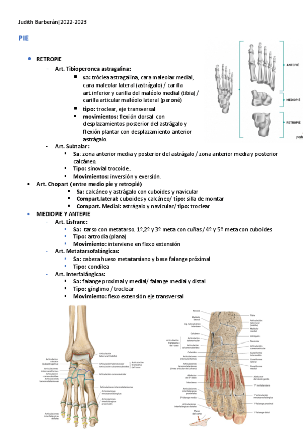 Miniatura del documento Artrologia-Pie.pdf