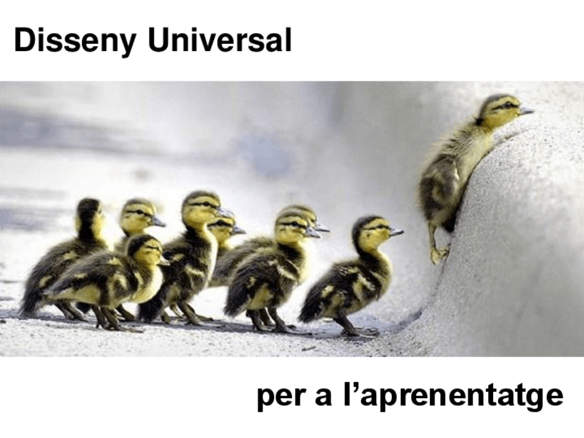 Miniatura del documento Disseny-Universal-per-a-laprenentatgesintesi-2.pdf