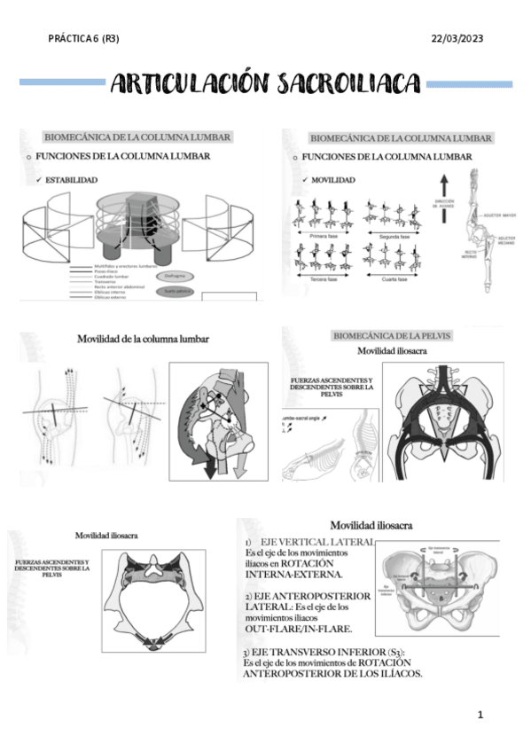 Miniatura del documento ARTICULACION-SACROILIACA.pdf