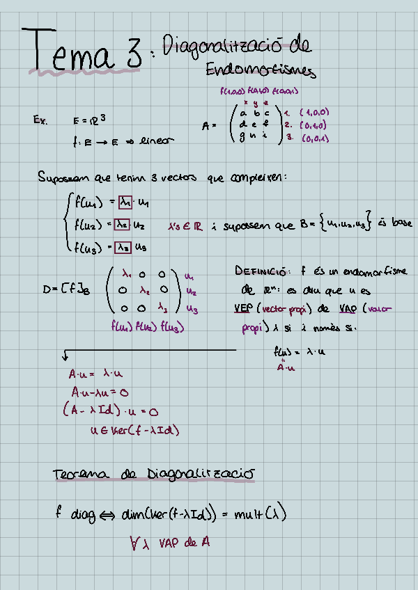 Miniatura del documento ACM-TEMA-3-Diagonalitzacio-en-Endomorfismes.pdf