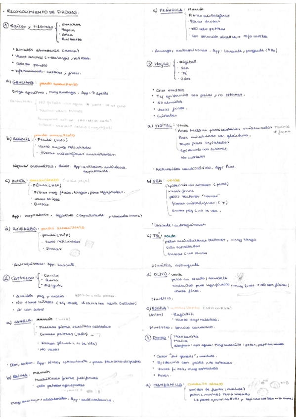 Miniatura del documento Esquema reconocimiento drogas.pdf