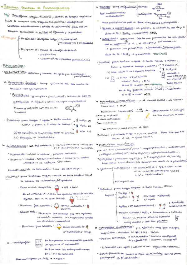 Miniatura del documento Resumen prácticas .pdf