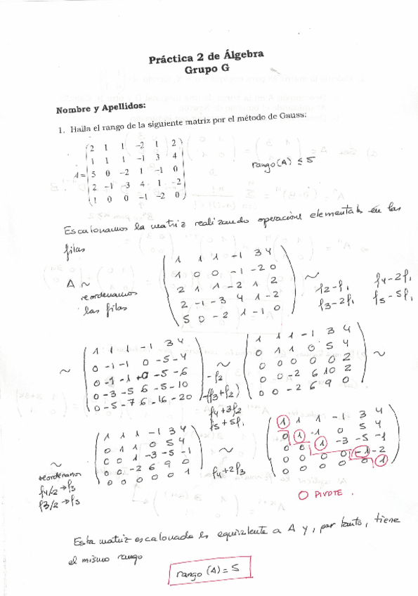 Miniatura del documento Practica-2-Matrices-RESUELTA.pdf