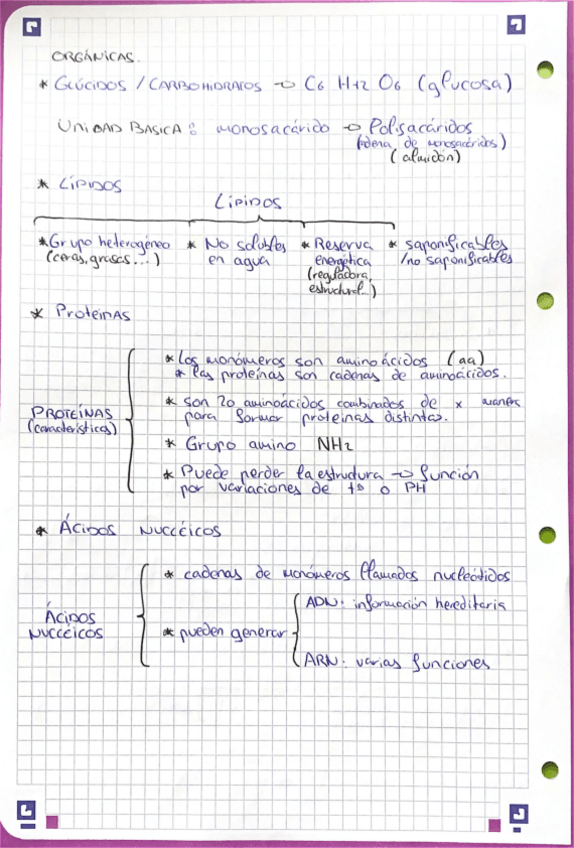 Miniatura del documento Bioelementos-4-ESO-1.pdf