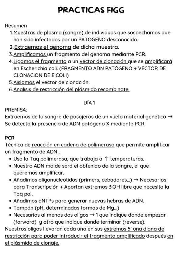 Miniatura del documento RESUMEN-PRACTICAS-FIGG.pdf