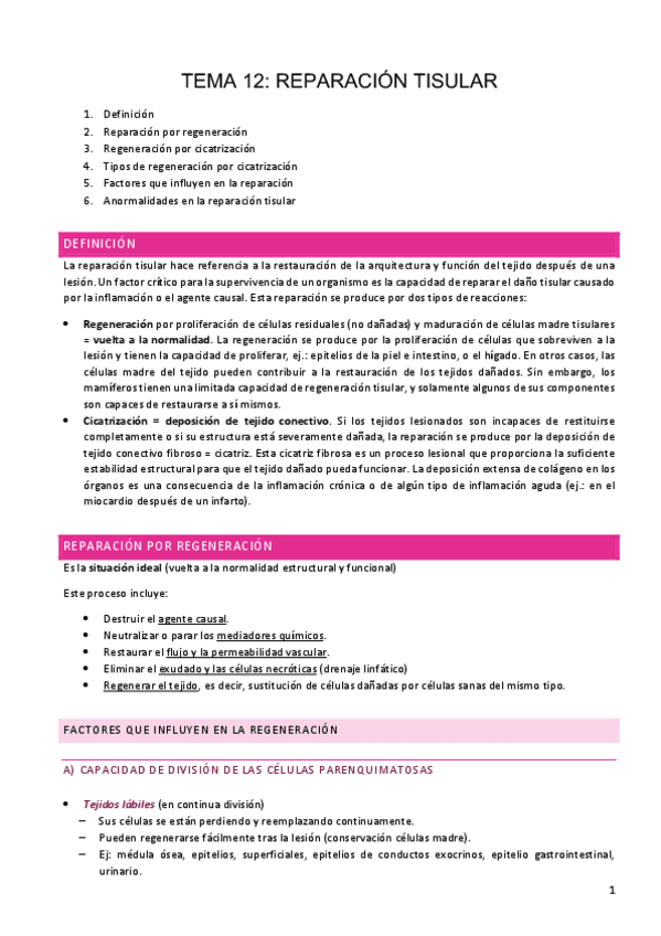 Miniatura del documento Tema-12-APG.pdf