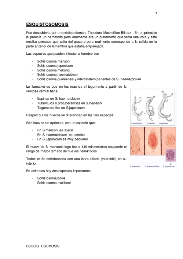Miniatura del documento ESQUISTOSOMOSIS.pdf