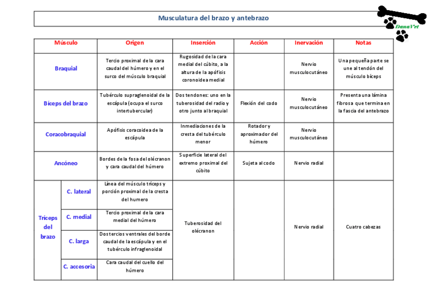 Miniatura del documento Tema 16.pdf