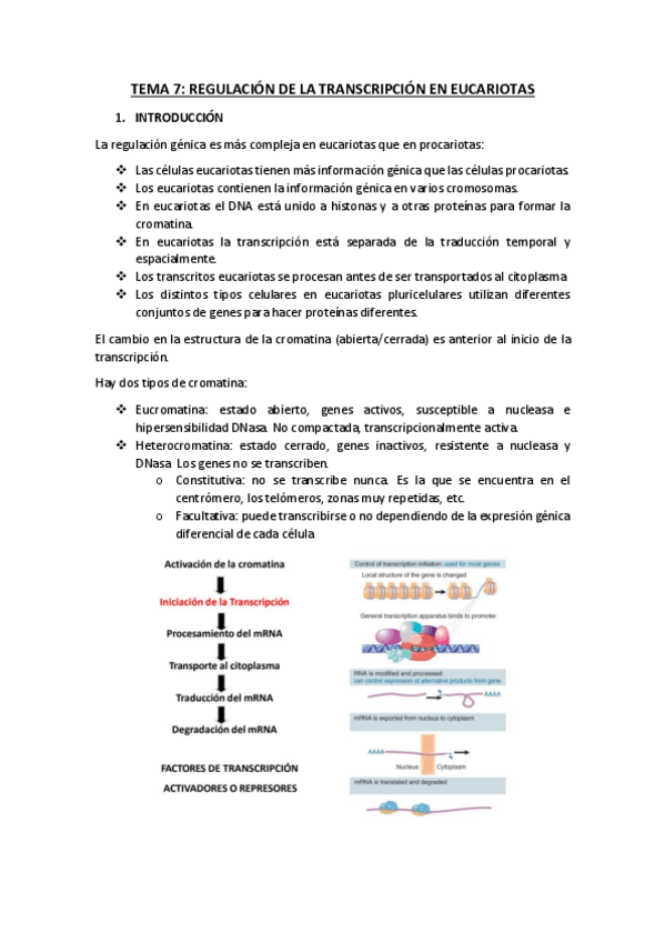 Miniatura del documento TEMA-7.pdf