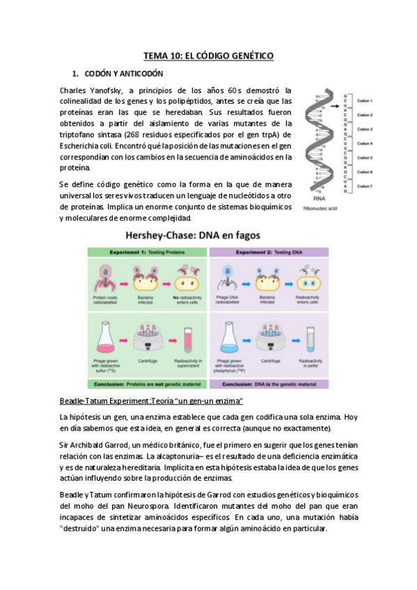 Miniatura del documento TEMA-10.pdf