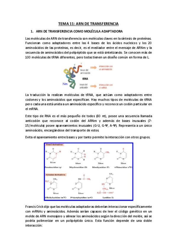 Miniatura del documento TEMA-11.pdf