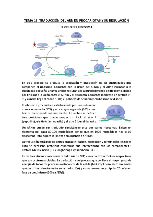 Miniatura del documento TEMA-13.pdf