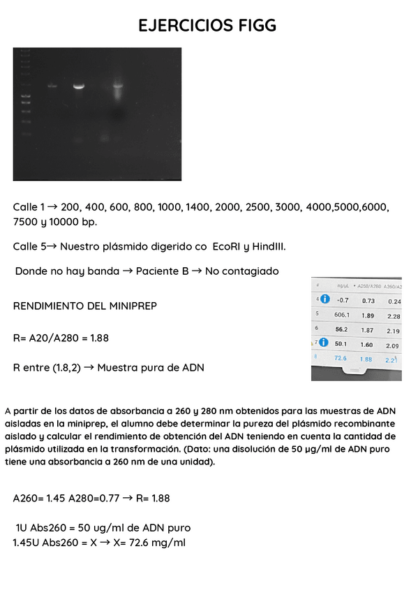 Miniatura del documento EJERCICIOS-PRACTICAS-FIGG.pdf