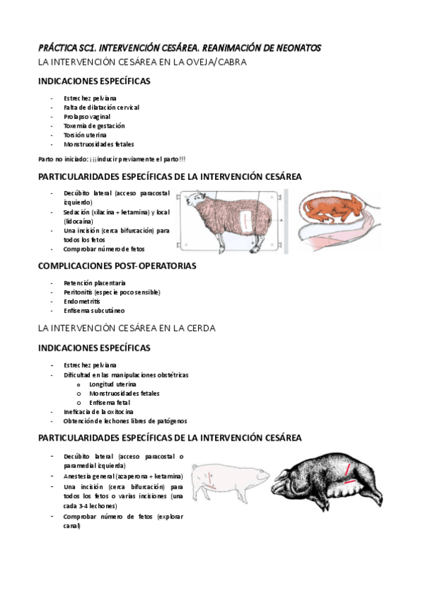 Miniatura del documento PRACTICA-SC1.pdf