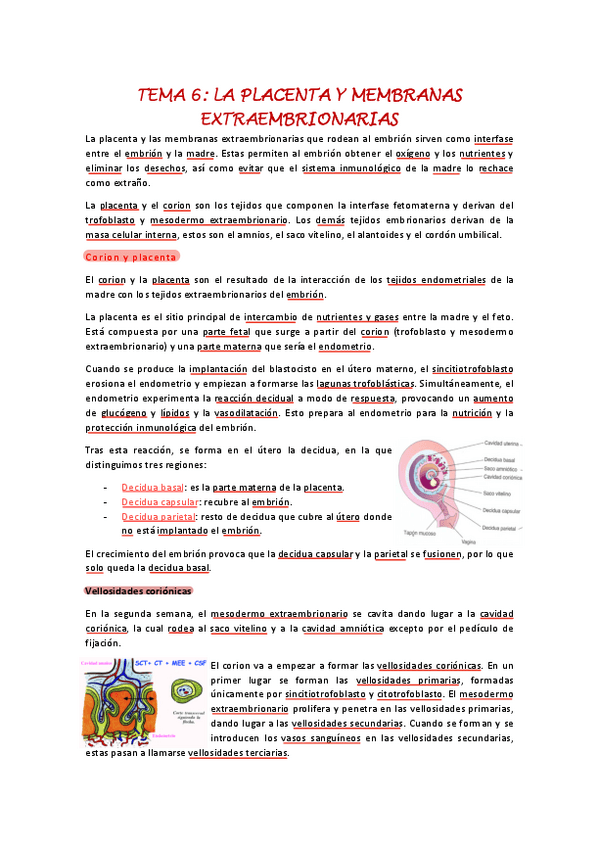 Miniatura del documento Tema-6.pdf
