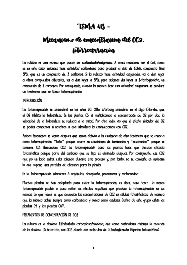 Miniatura del documento TEMA-4B-FISIO-VEGETAL.pdf