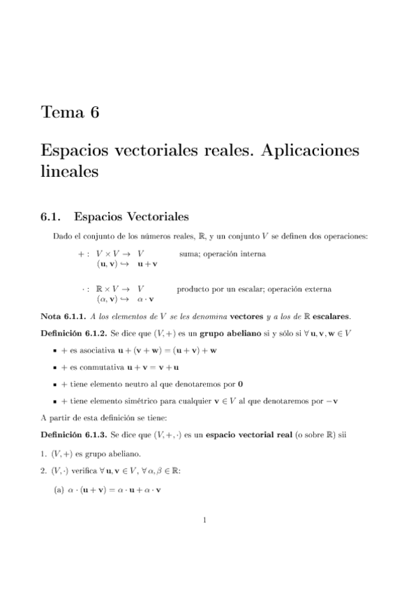 Miniatura del documento TEMA6_espacios vectoriales reales. aplicaciones lineales.pdf