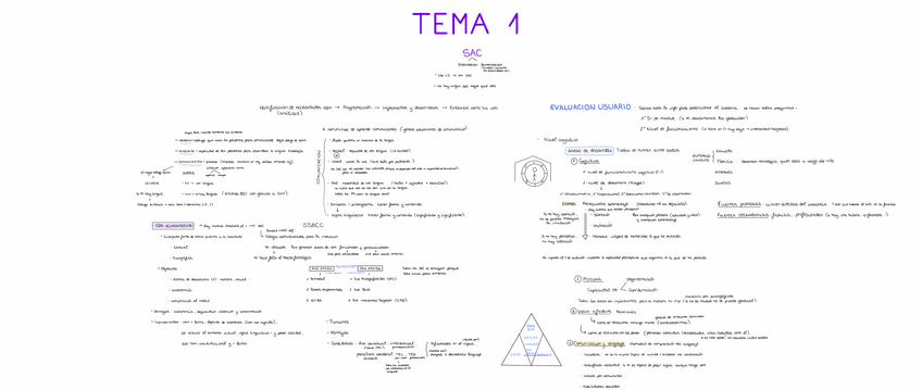 Miniatura del documento T1-SAC.pdf
