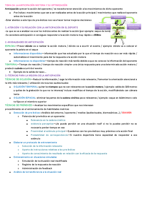 Miniatura del documento Tema-14.-La-anticipacion-motora-y-su-optimizacion.pdf