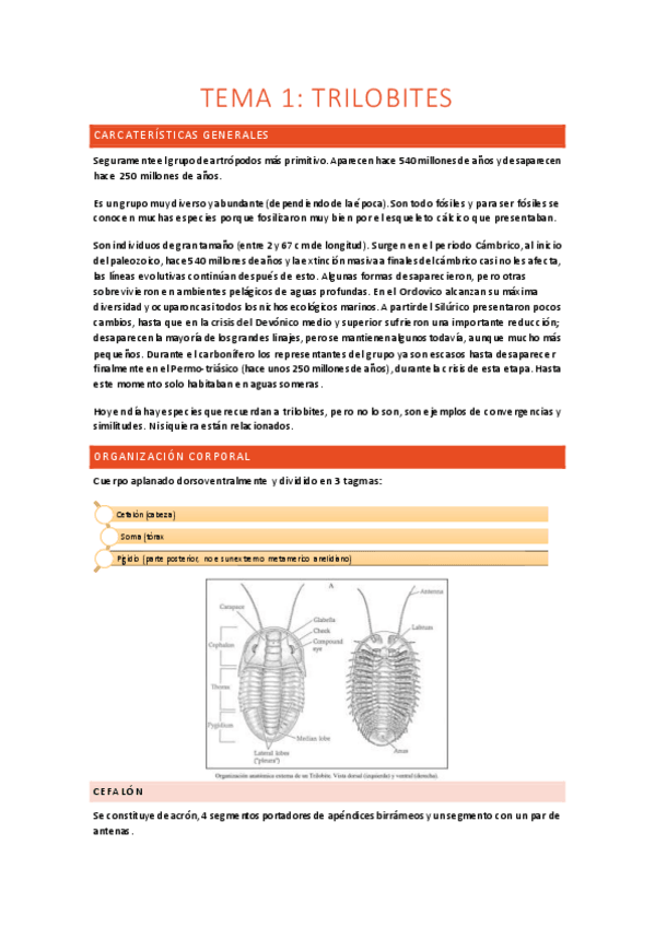 Miniatura del documento APUNTES-ZOO2.pdf